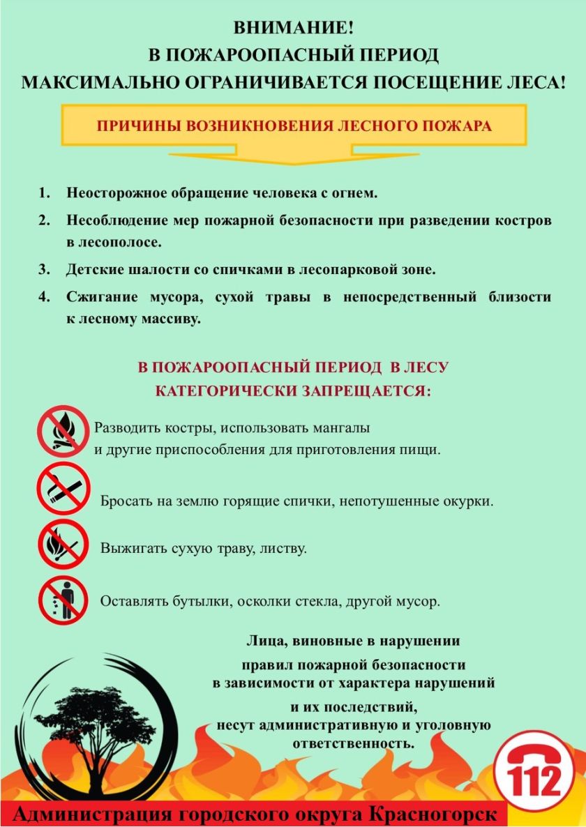 Внимание! В пожароопасный период максимально ограничивается посещение леса!
