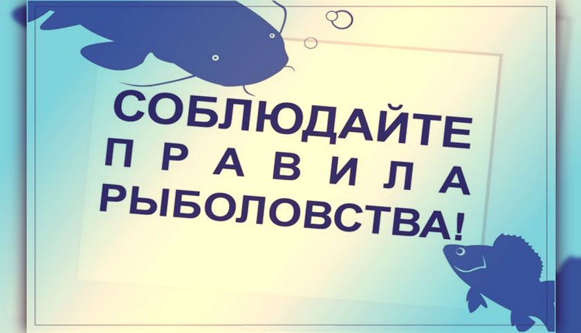 Правила рыболовства для Волжско-Каспийского рыбохозяйственного бассейна