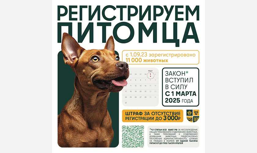 Регистрируем питомца