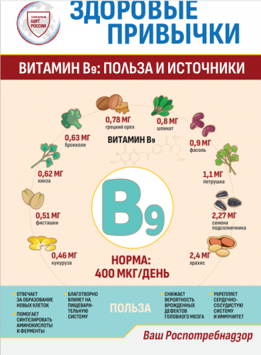 В рамках месячника о здоровом питании рассказываем красногорцам о полезных привычках