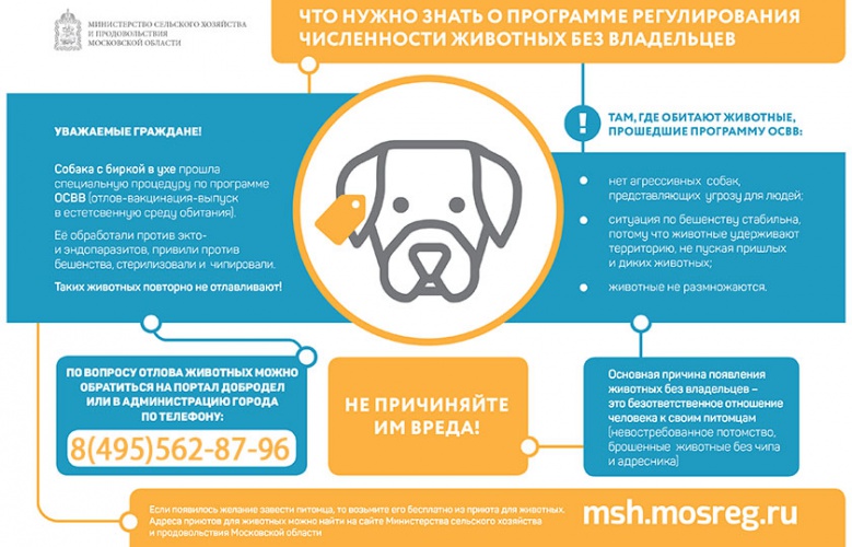 Жителям Красногорска напоминают: собаки с биркой в ухе не опасны