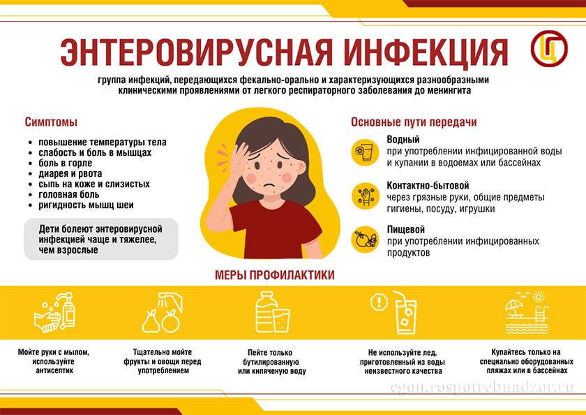 Горячая линия по вопросам профилактики энтеровирусной инфекции