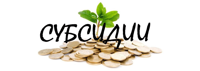 Проведение конкурса по предоставлению субсидий из бюджета Московской области