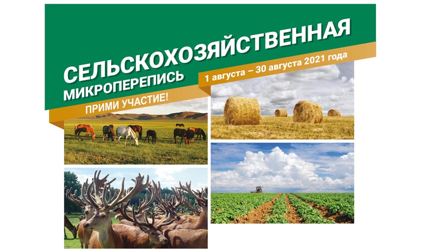 Всероссийская сельскохозяйственная перепись продолжается