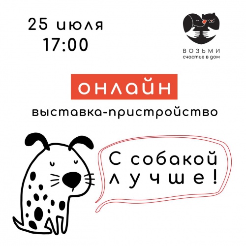 В Красногорске пройдет выставка-пристройство бездомных собак