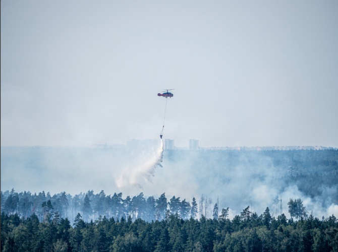 Лесной пожар в Красногорске локализован на площади 8 гектаров