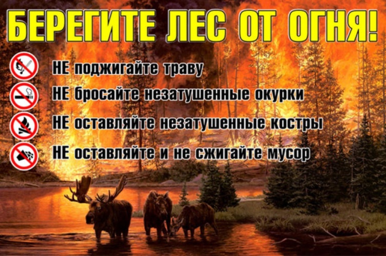 Красногорцы, соблюдайте правила пожарной безопасности в лесу!