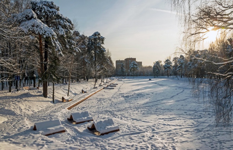 Зима в парках Подмосковья
