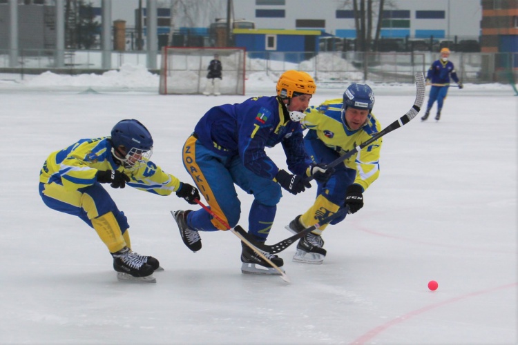 Красногорские хоккеисты одержали победу над «Волгой-Черемшан»