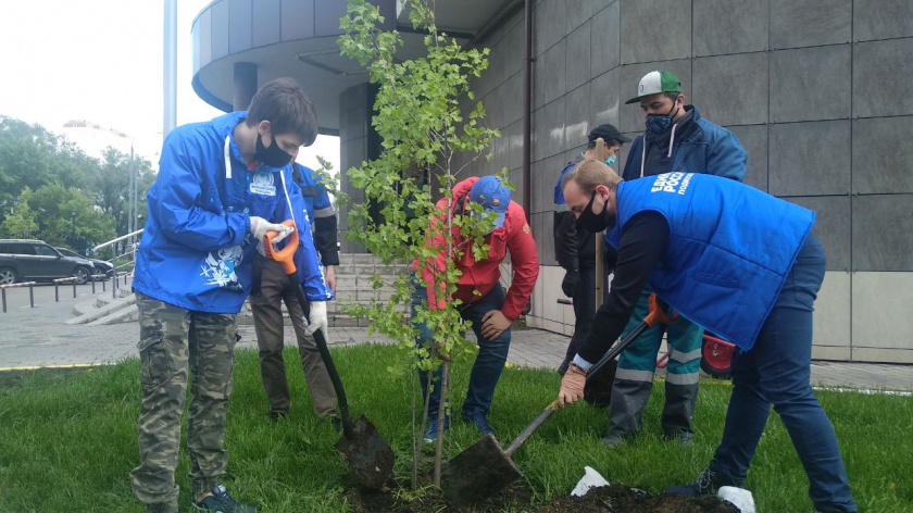 Активисты «Единой России» высадили деревья в Красногорске