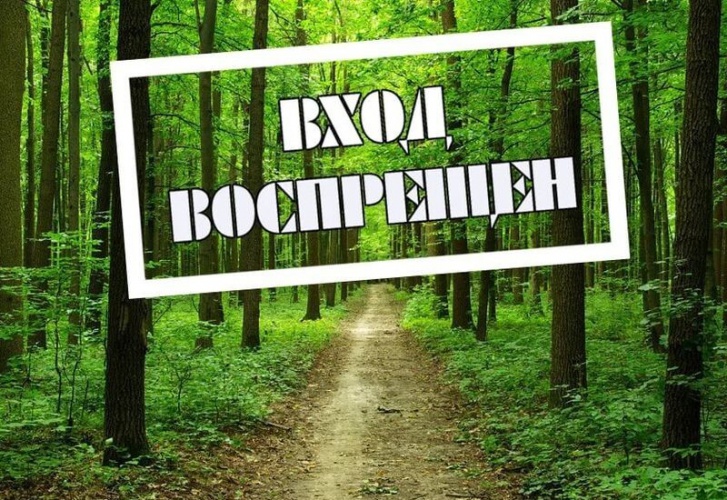 Ограничено пребывание и въезд в леса Красногорска
