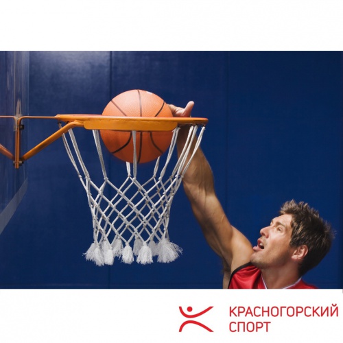 В Красногорске прошел турнир по баскетболу