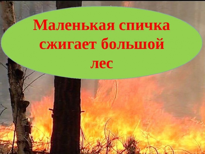 В начале этой недели пожарными ГКУ МО «Мособлпожспас» потушено 34 пала сухой растительности