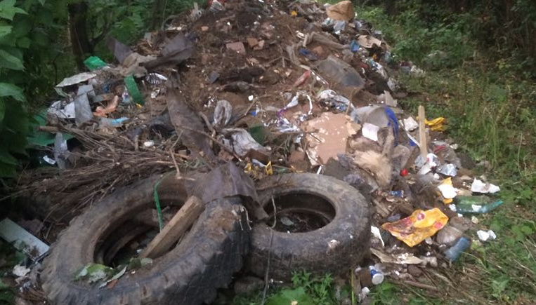 Госадмтехнадзор предотвратил сброс отходов на берегу реки Красногорска