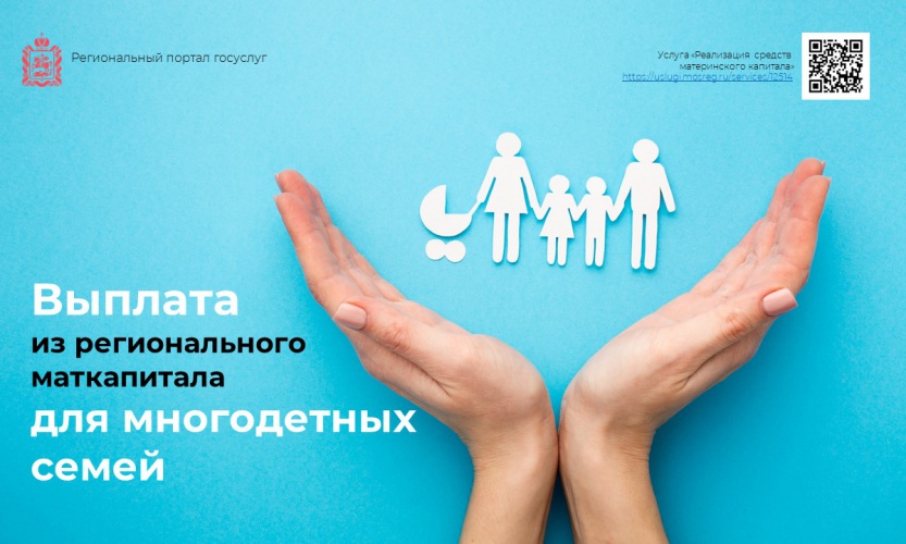 Форма поддержки многодетных семей доступна на портале госуслуг Подмосковья