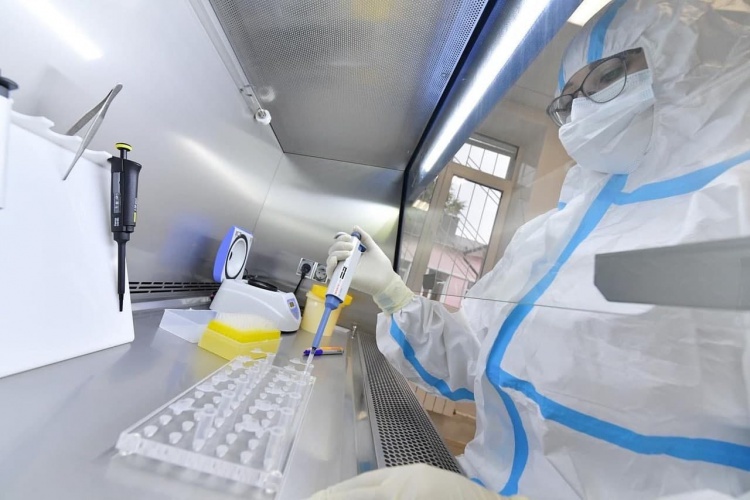 В Подмосковье выполнили более 13 млн ПЦР-исследований на коронавирус