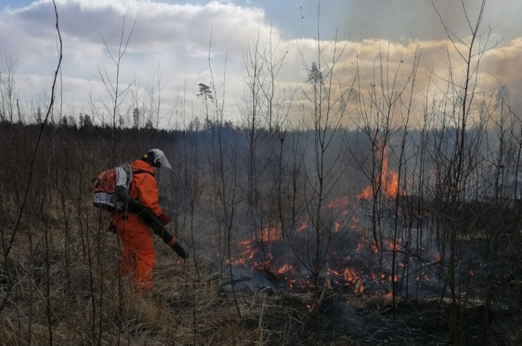 Добровольцы пожарной команды Красногорска потушили пал травы