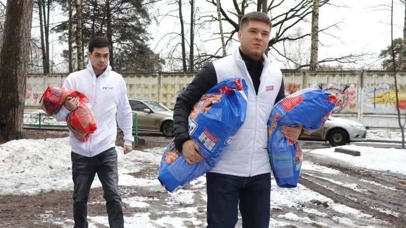 140 килограммов корма собрали в Красногорске для бездомных животных