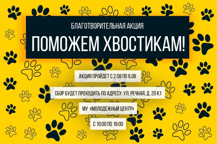 Благотворительная акция в помощь животным из приютов пройдет в Красногорске