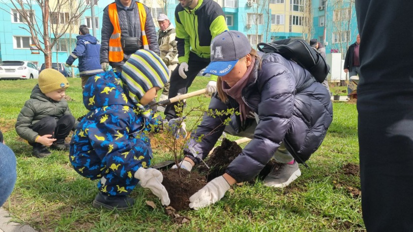 В Красногорске высадили 150 деревьев
