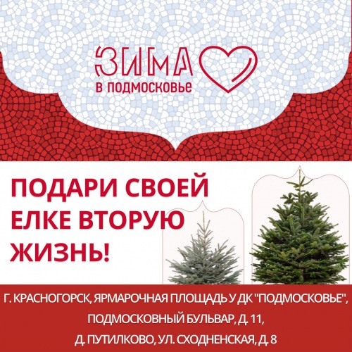 В Красногорске пройдет акция «Подари своей елке вторую жизнь»