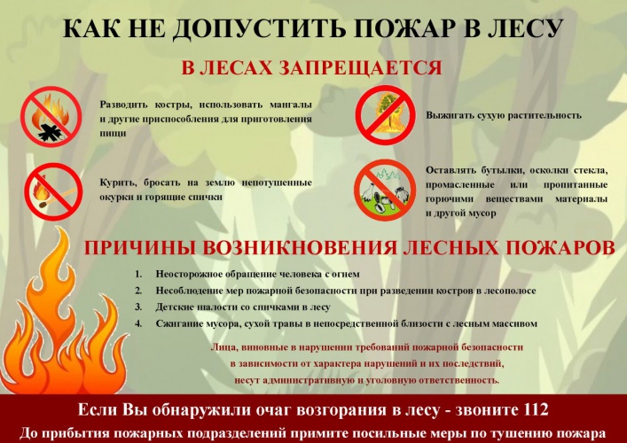 В связи с ухудшением лесопожарной обстановки, в лесах Московской области установлен 4 класс пожарной опасности