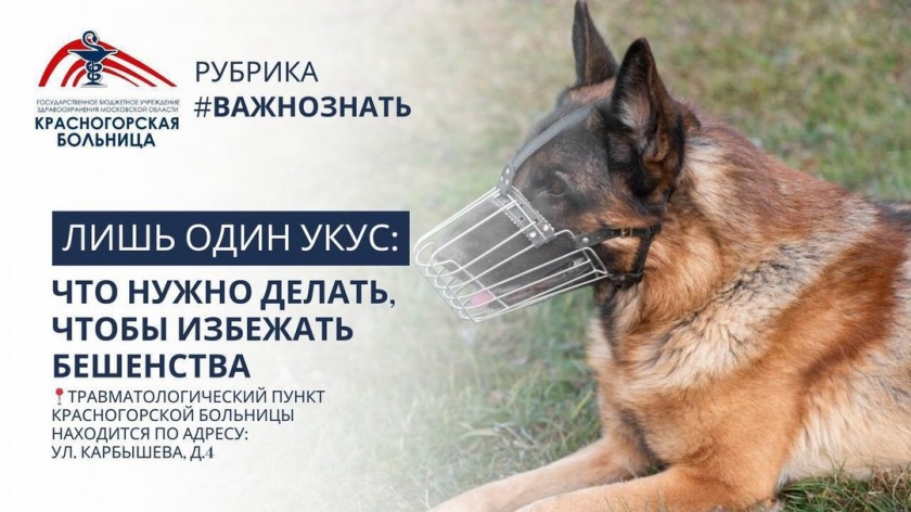 Красногорцам на заметку!