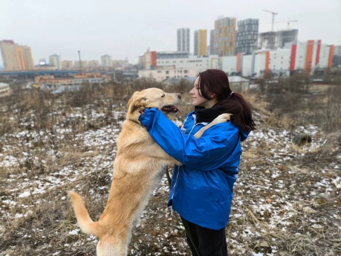 Красногорские молодогвардейцы помогают приюту для животных «Лохматый ангел»