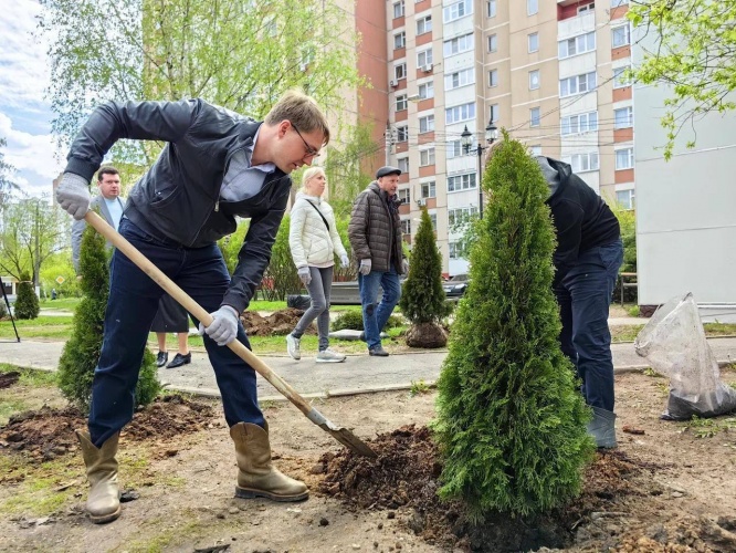 20 туй высадили в Нахабино в рамках международной акции «Сад Памяти»