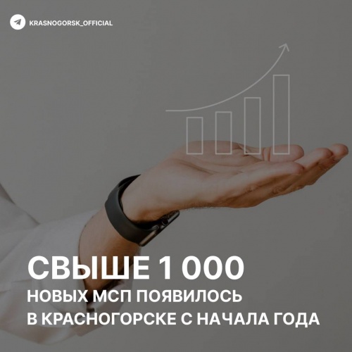 1390 субъектов малого и среднего предпринимательства (МСП) зарегистрировано в Красногорске с начала года, что увеличило общее количество до 25 404 компаний