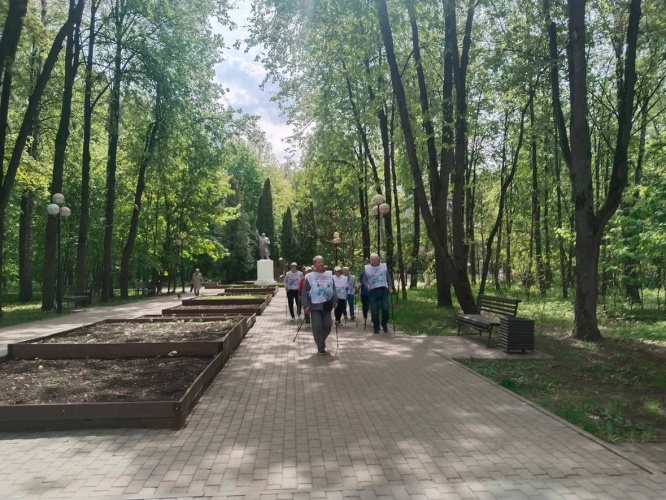 Марафон по скандинавской ходьбе в Красногорске для участников центра «Активное долголетие»
