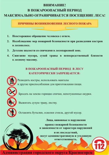 В Московской области до 3 июня введён режим ограничения пребывания граждан в лесах из-за установления IV класса пожарной опасности