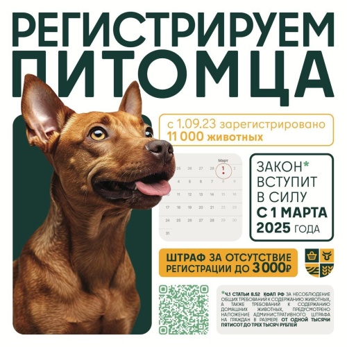 Выездную вакцинацию, чипирование и регистрацию домашних животных проведут в Красногорске 24 июня