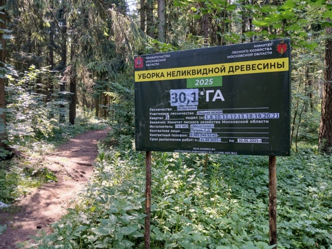 В Красногорске убирают неликвидную древесину