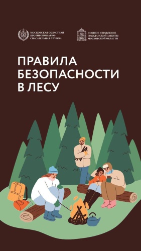 Наступила грибная пора, и жители Красногорска активно исследуют свои любимые места в лесу