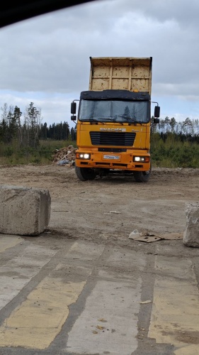 Жители Красногорска помогли выявить нарушителя лесного законодательства