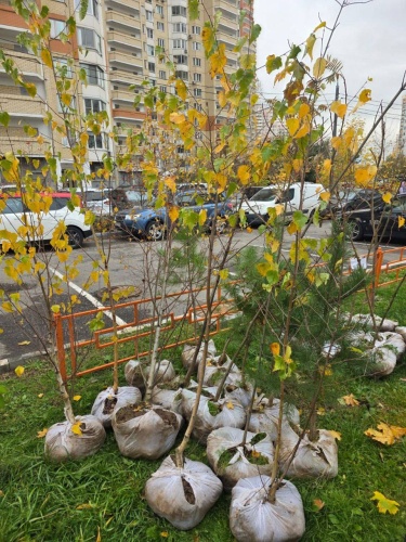 В Павшинской пойме прошел субботник