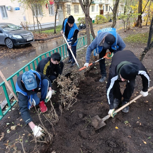В Красногорске прошла акция по озеленению дворовых территорий