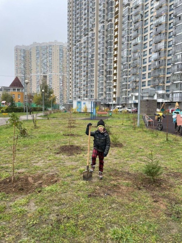В микрорайоне Павшинская пойма продолжается осеннее озеленение