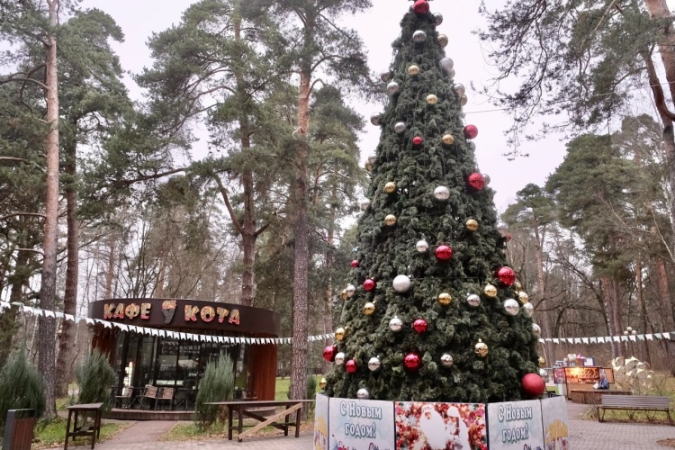 С каждым днем лучше!