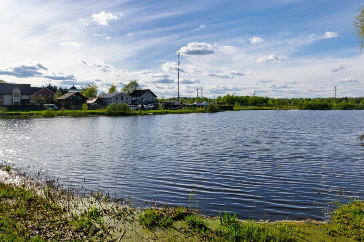 Жители Красногорска могут проголосовать за очистку пруда в деревне Нефедьево