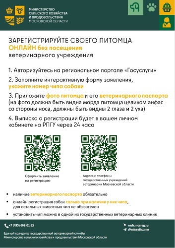 Внимание, красногорцы!