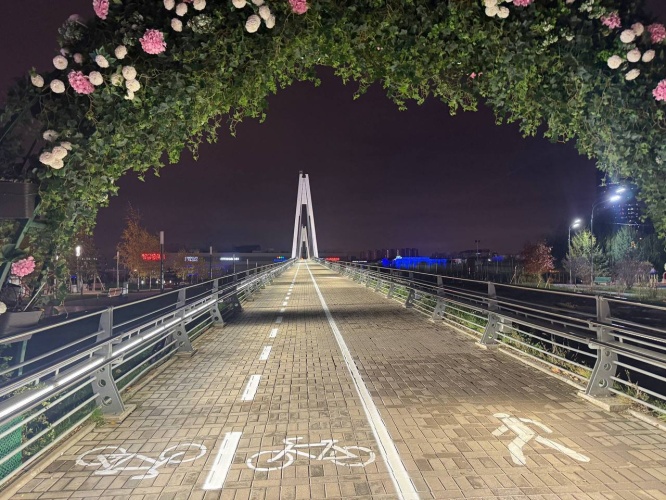 Напоминаем, что голосование по вопросу разметки моста в Павшинской пойме продолжается