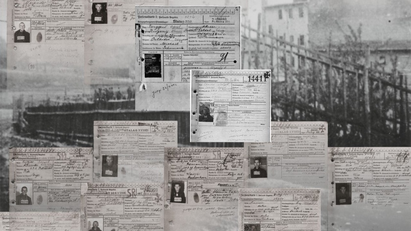 Красногорский филиал Музея Победы продолжает масштабную исследовательскую работу