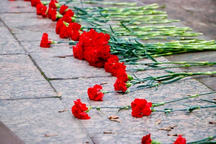 В Красногорске почтили память Неизвестного Солдата