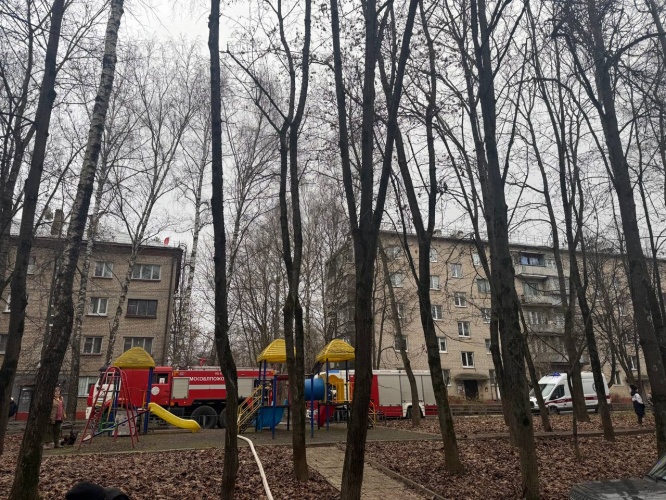 В Нахабино огнеборцы спасли кота во время тушения пожара