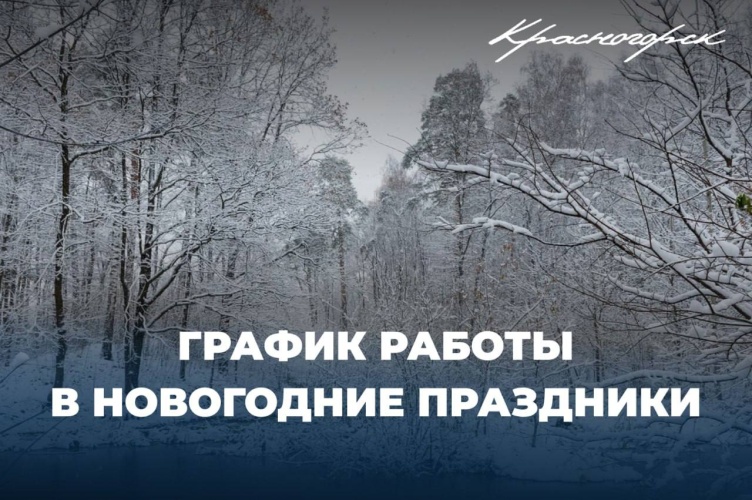 График работы учреждений округе во время новогодних праздников