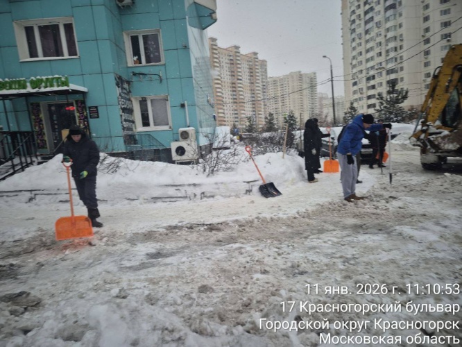 МБУ «Красногорская городская служба» совместно с управляющей компанией ООО «Сфера» организовали субботник во дворе дома по адресу: Красногорский бульвар, д. 20 в Павшинской пойме