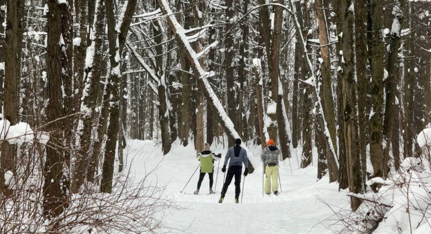 Опалиховский лесопарк: лыжная трасса для любителей и профессионалов