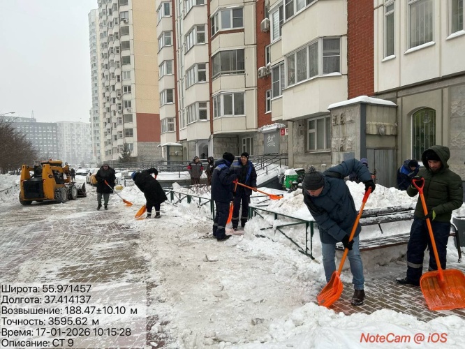Легкий мороз, хрустящий снег и единомышленники рядом – в Красногорске активно проходит зимний субботник
